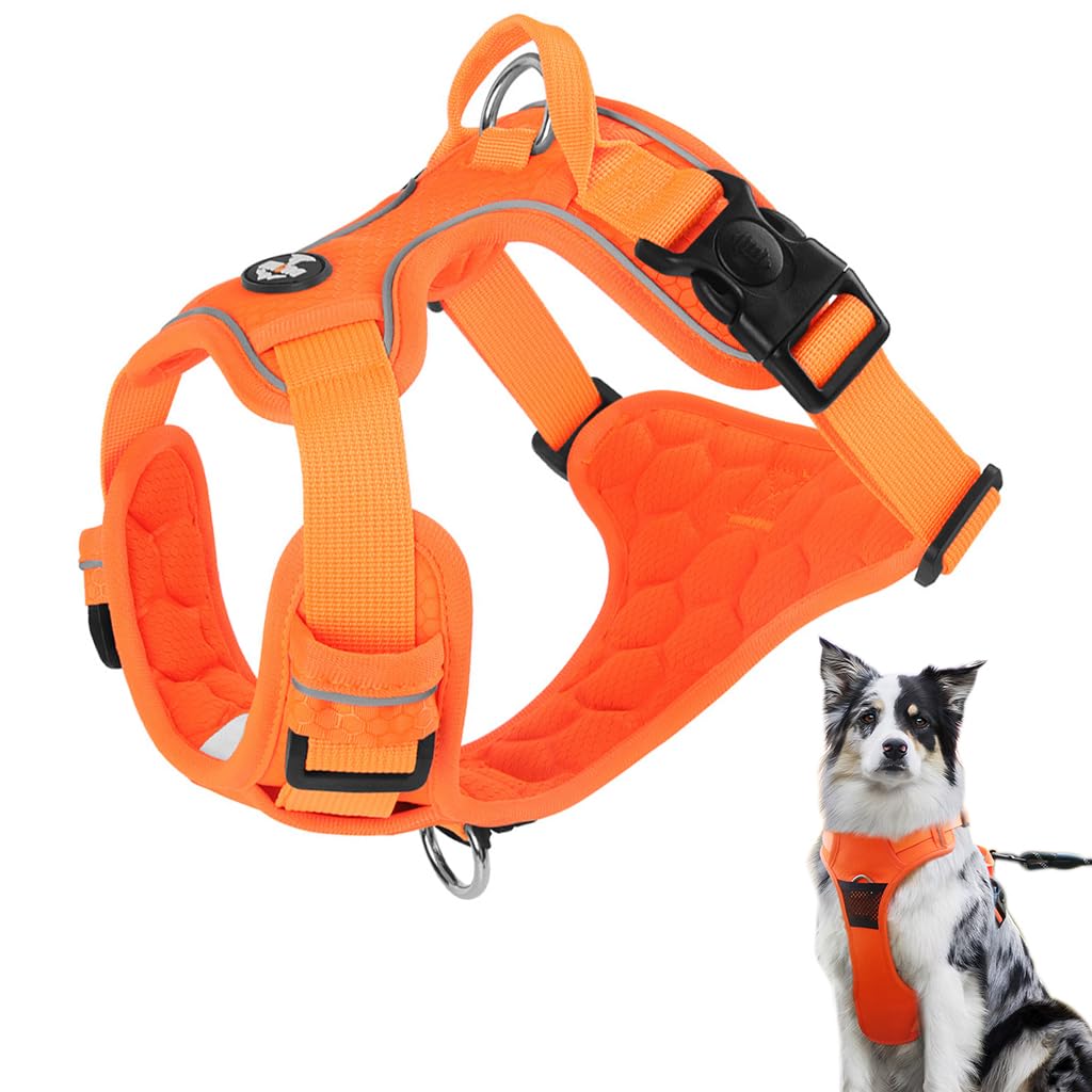 Qpets Dog Belt, Walk Dog Harness, Dog Harness For Large Dogs, Oxford Fabric Dog Vest Chest Harness With Seat Belt Lock Buckle (Xl, Min 30Kg-Max 49Kg),Orange (B0CX8H1PTZ) Amazon Price History, Amazon Price Tracker