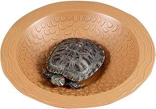Nahrungsteller, Wasserschale – Lebensmittel und Wasserschale für Reptilien | Lebensraumzubehör für Amphibien, Schwimmbad, Aquarium-Ornament für den Bart- von Gecko product image