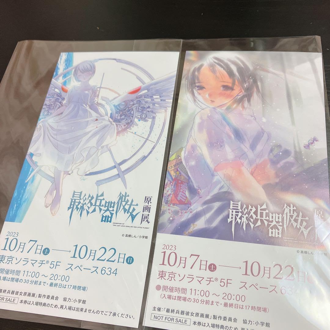 Amazon.co.jp: 最終兵器彼女原画展限定 特典チケット2枚 : おもちゃ