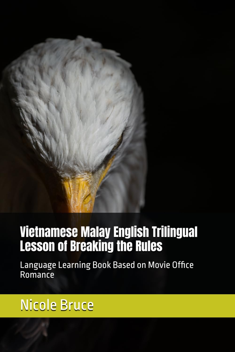 Vietnamese Malay English Trilingual Lesson of Breaking the Rules: Language Learning Book Based on Movie Office Romance