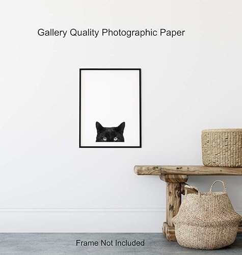 Miniatura 8 de Black Cat Wall Art Photo - Unique 8x10 Modern Contemporary 8x10 Home Decor Print- Gift For Animal, Pets, Kitten, Kitty, Feline Lovers - Unframed