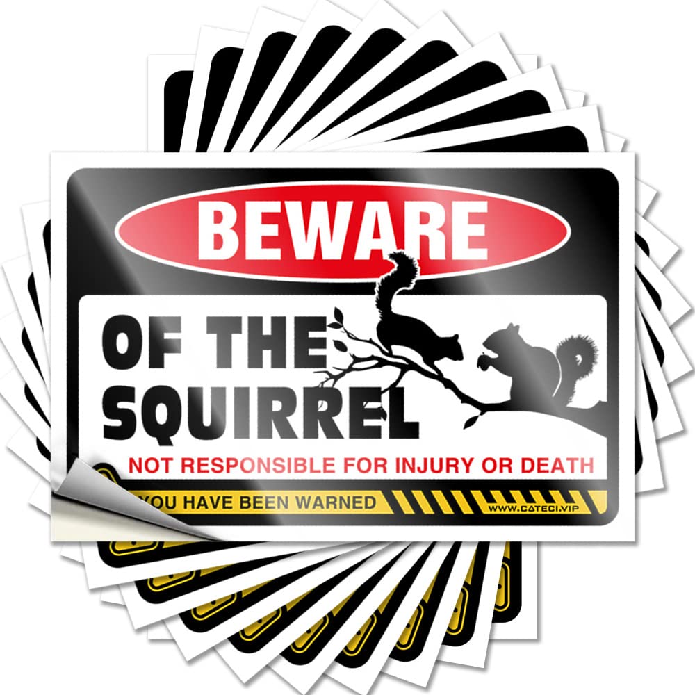 Beware of Squirrel Punk Fall - Stickers Water Removable Vinyl Decal(8X12CM)