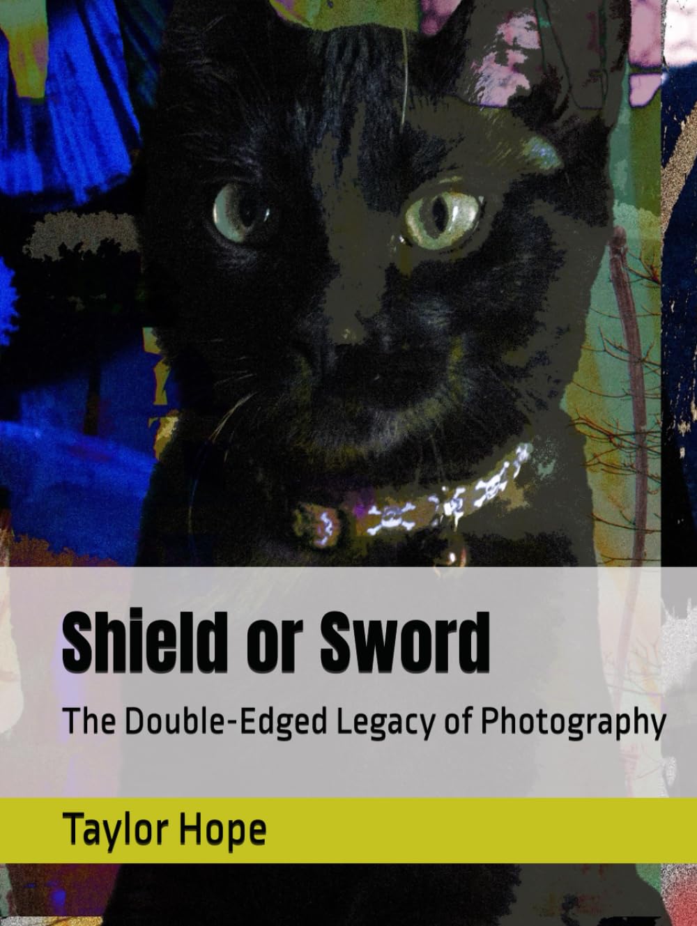 Shield or Sword: The Double-Edged Legacy of Photography (Photography Books)