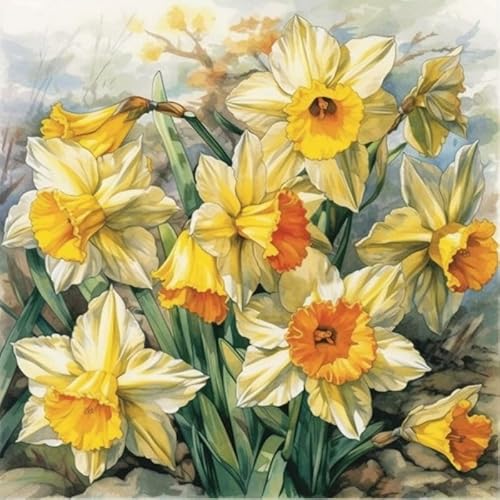 G LbghG,̉,yCgoCio[Y lp Sҗp LbYp io[yCeBO DIY fW^G,G AN GCEH[A[gMtg,50x50cm ٞy