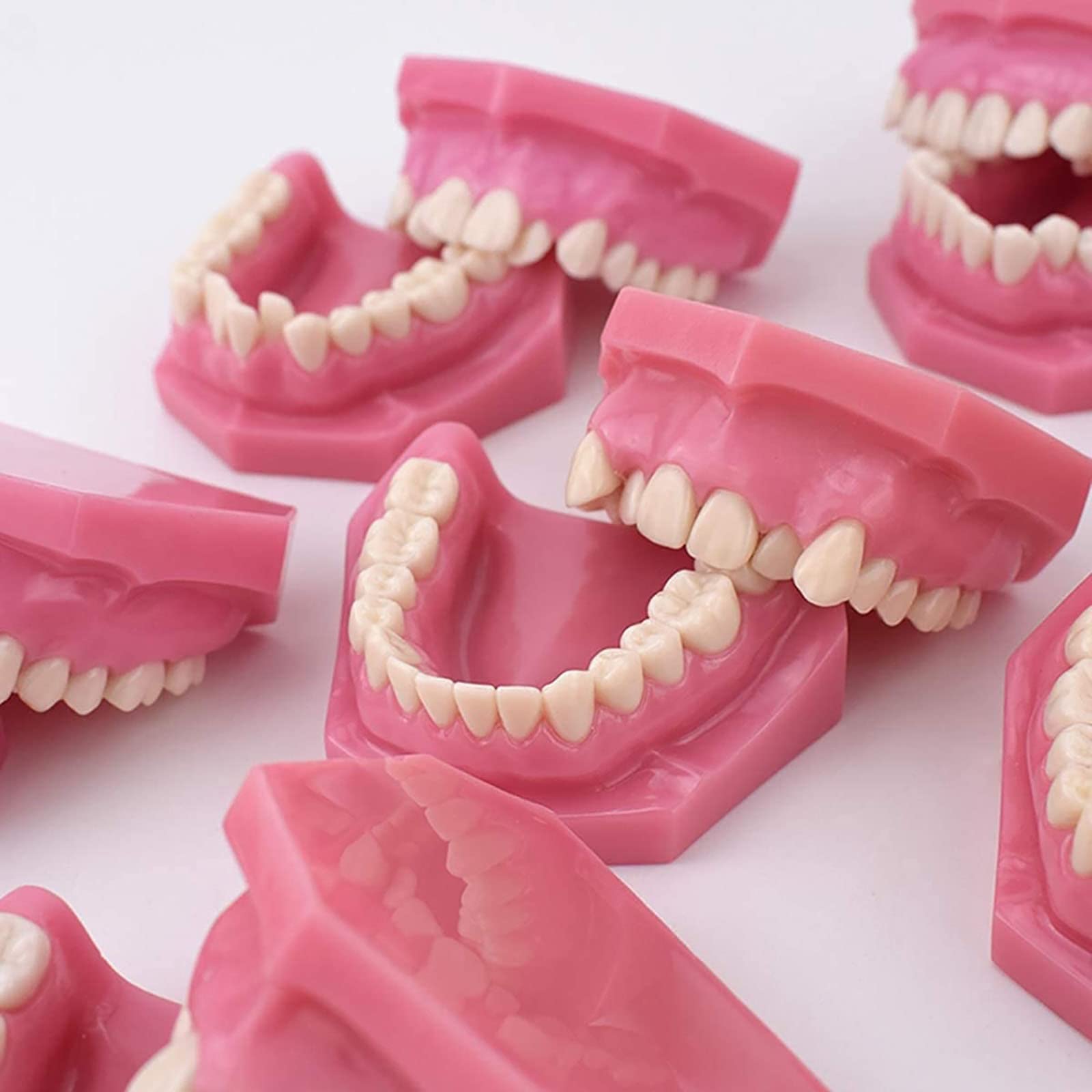 Dentysta Korekta Ortodontyczna Model Anatomiczny Do Nauki Stomatologii Badanie Zębów Dorosłych Model Dydaktyczny 10 Szt. Model Demonstracyjny Klasyfikacji Wad Z