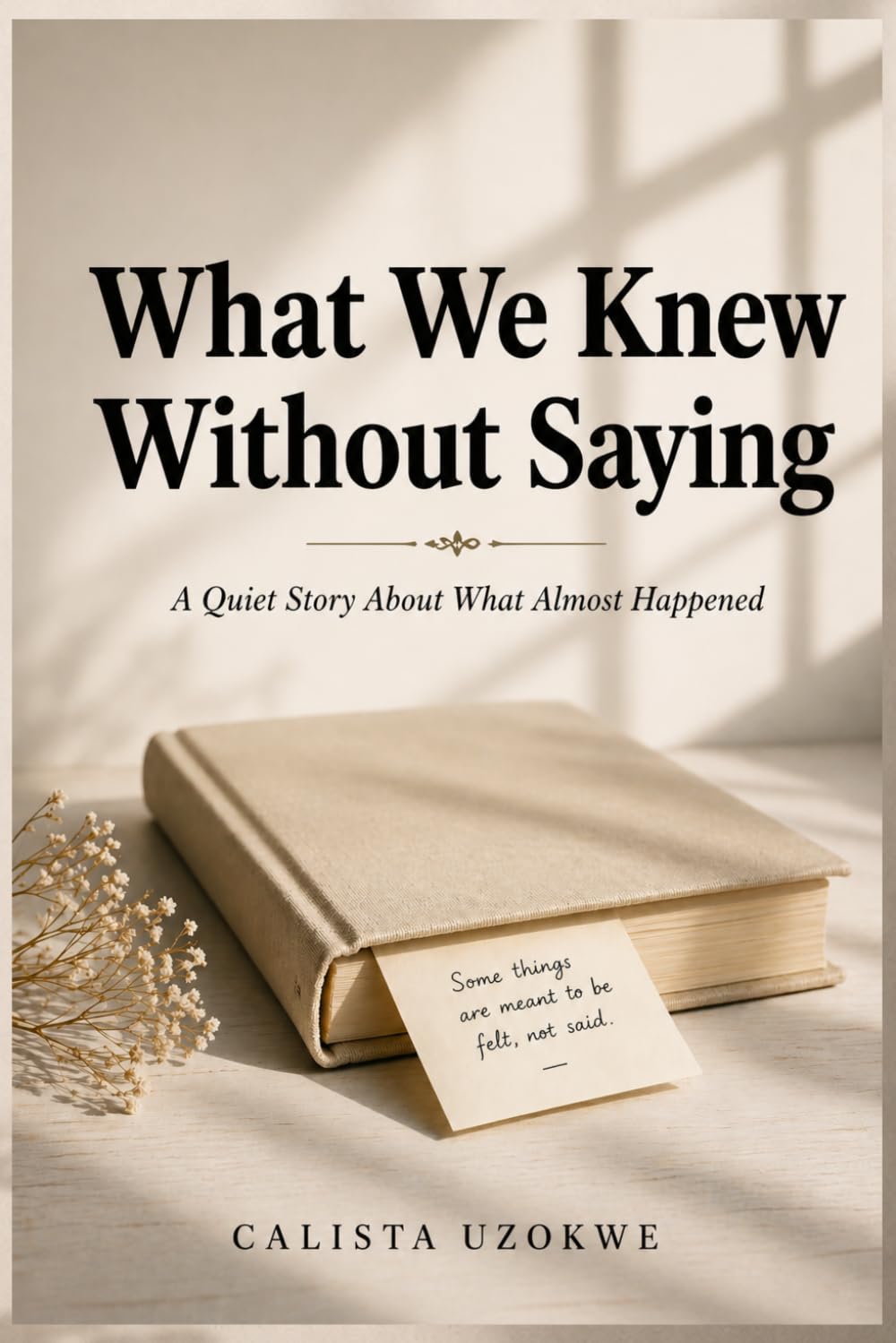 What We Knew Without Saying: A Quiet Story About What Almost Happened (The Quiet Connections Collection)