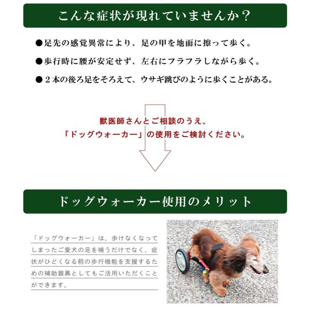 Amazon | パレットライフ 犬用車椅子 ミニチュアダックス専用 ドッグ