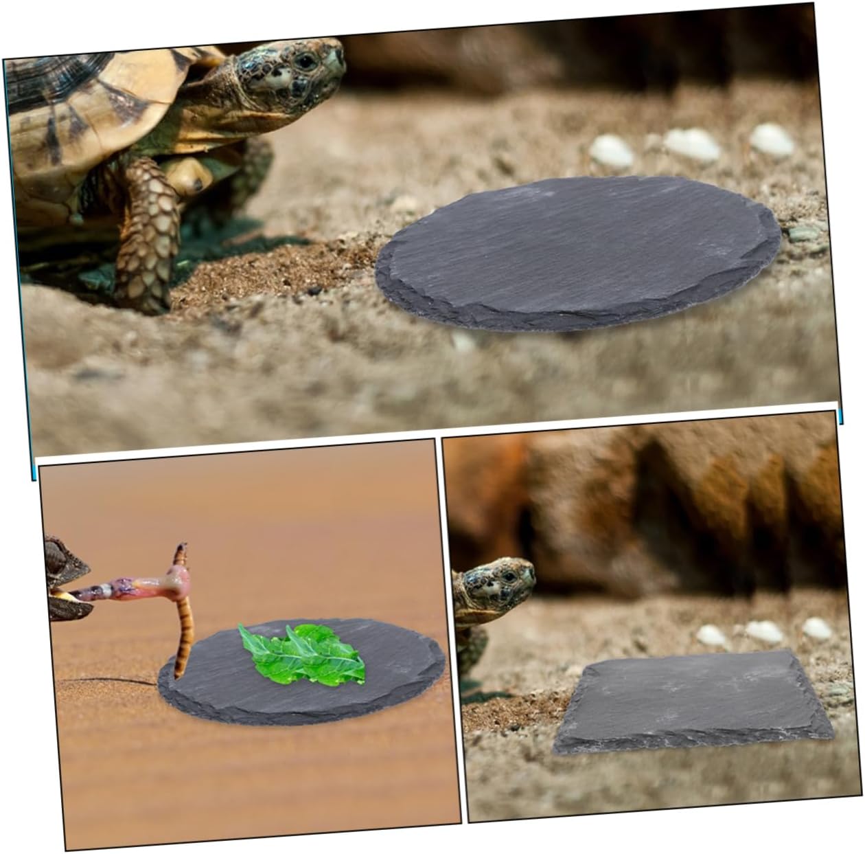 INOOMP 2pcs Multi-Functional Reptile Basking Rock Pet Turtle Bathing Platform Material