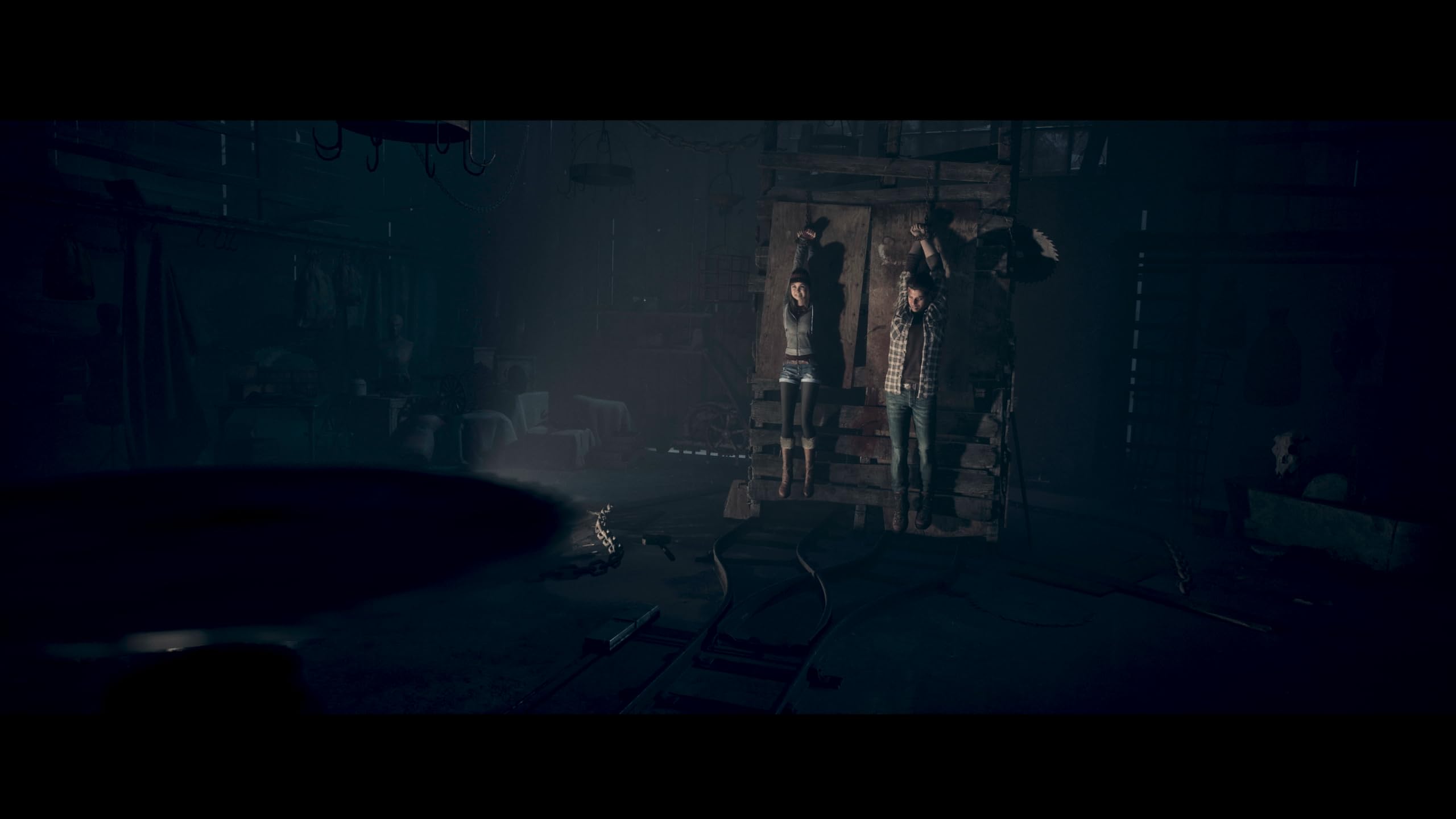 Amazon.co.jp: 【PS5】Until Dawn(アンティルドーン) -惨劇の山荘