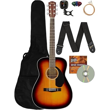 concert size acoustic guitar case
