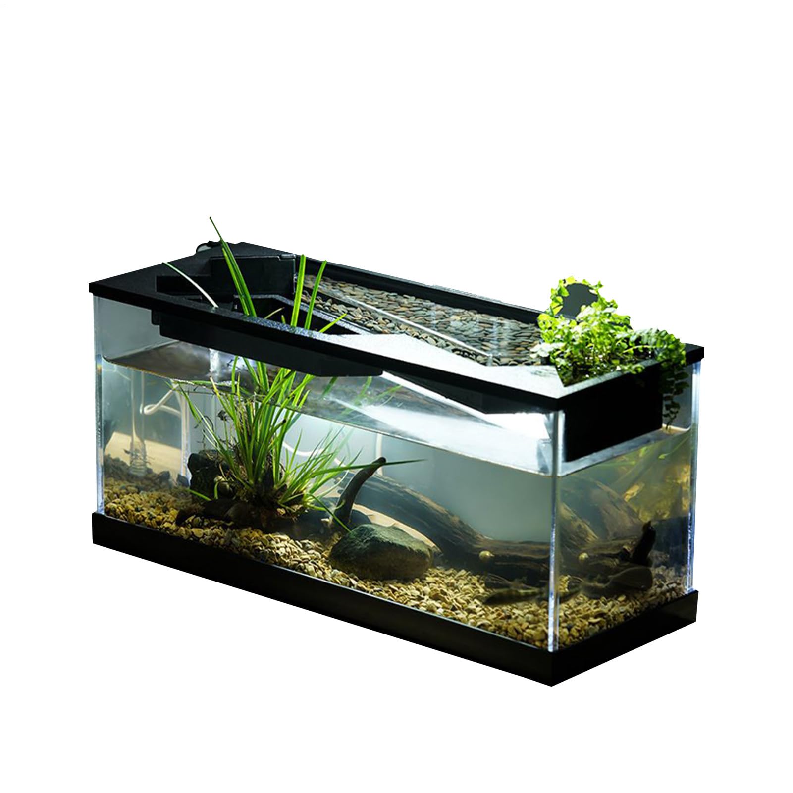 acquario, serbatoio di pesce con filtro Piantatura per scrivania acrilica | di pesce habitat di tartaruga con di ciclo per casa, studio, tavolo