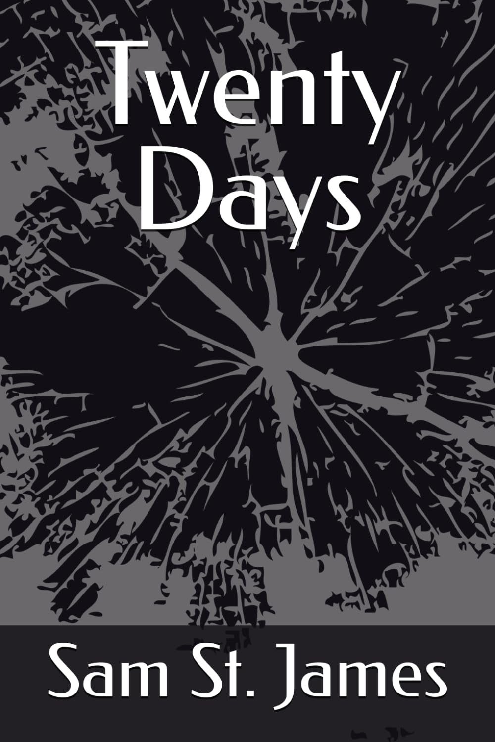 Twenty Days
