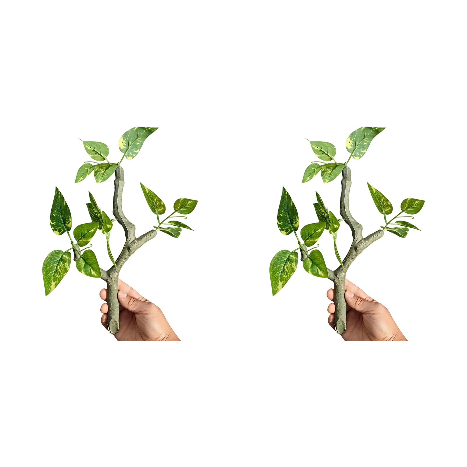 Oxxggkao Of 2 Climbing Vine for Reptiles Exercise Resin Landscape Branch for Terrariums Home Aquariums Decoration Aquarium Landscape