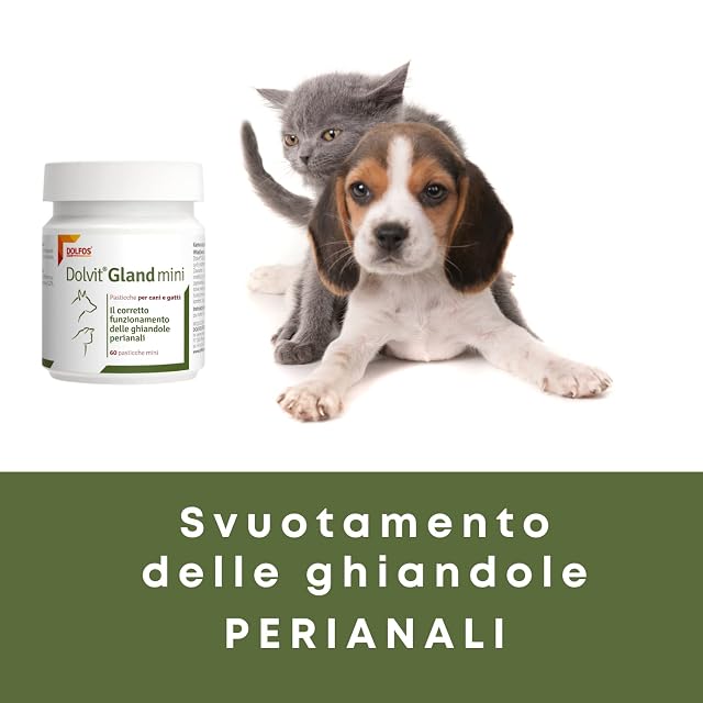 Foto 4 de 7 de Dolvit Gland - Mini suplemento para glándulas perianales para perros, 60 mini comprimidos, vaciado…