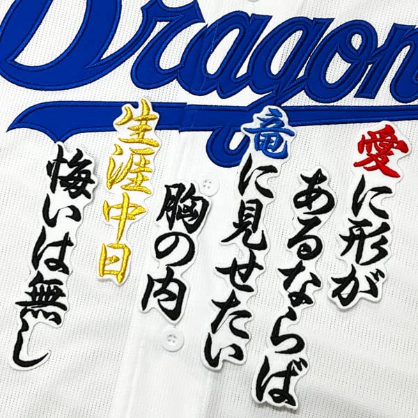専用【プロモデル】中日ドラゴンズDrapans 刺繍ロゴ ジャケット 青 プロモデル】中日ドラゴンズDrapans 刺繍ロゴ ジャケット 青