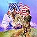 The Armed Forces - America Puzzle - 500 Piece Jigsaw Puzzle by SunsOut
