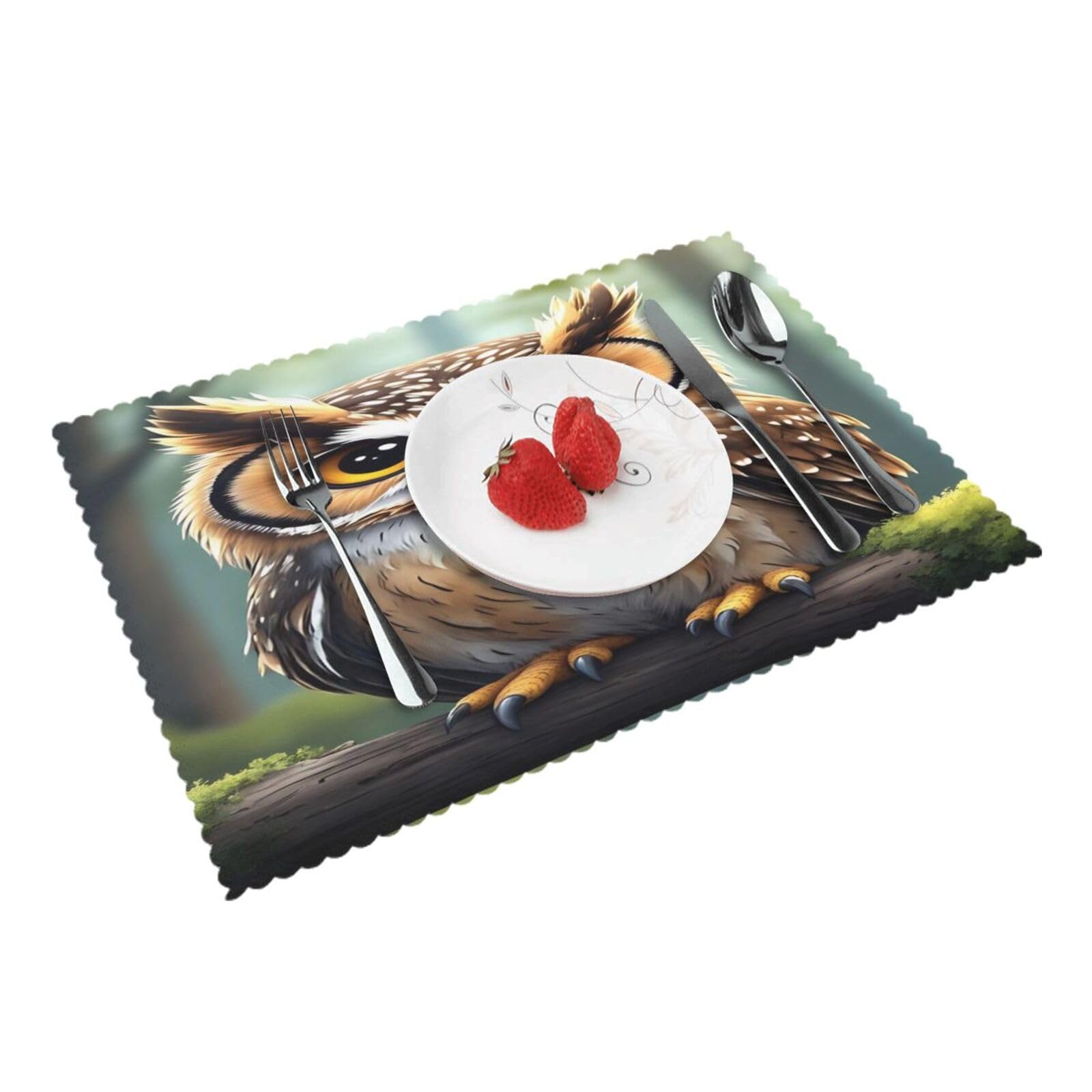 Cute Owl Placemats Set of 4 Print Table Mats Place Mats Table Decor for Kitchen Dining 12X18 in