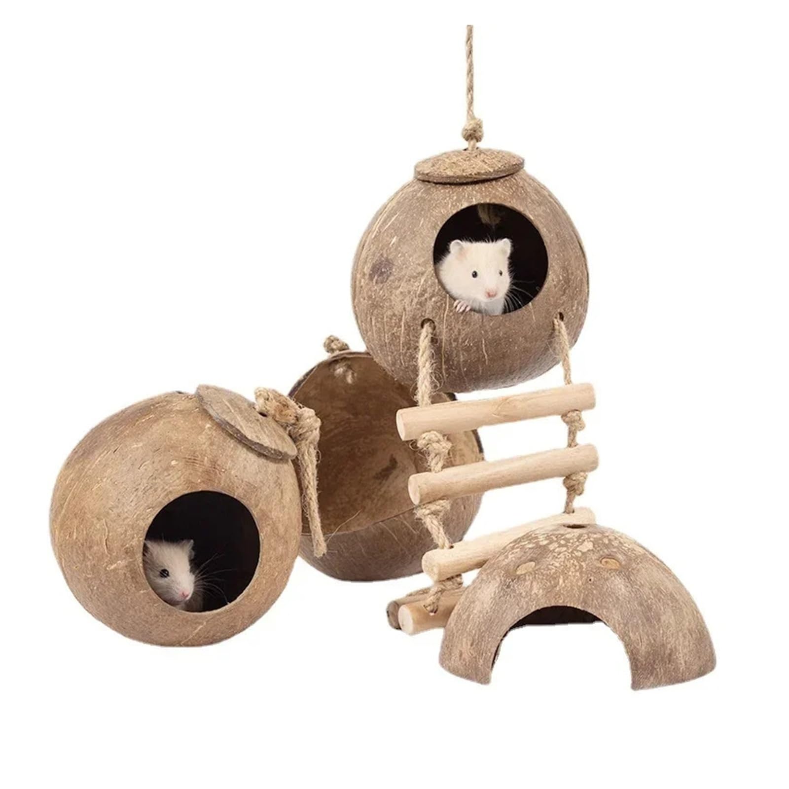 Handgefertigtes Hamsternest aus Kokosnussschale, Polieren und Vermeidung von Kleintierholz, Goldener Bär,Papageienvogel(Color 2)
