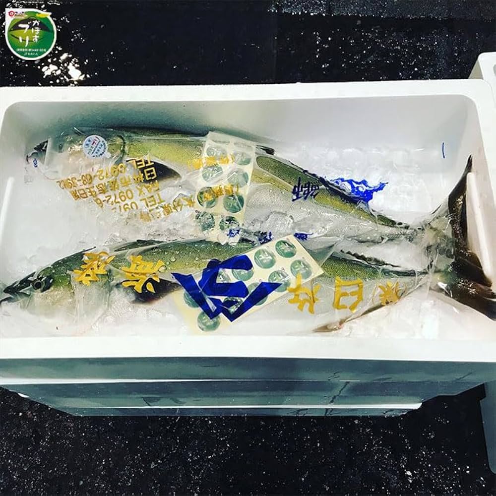 かぼすぶり Amazon.co.jp: 鮮魚 かぼすブリ 一本物 4.5-5.5kg 市場直送 大分