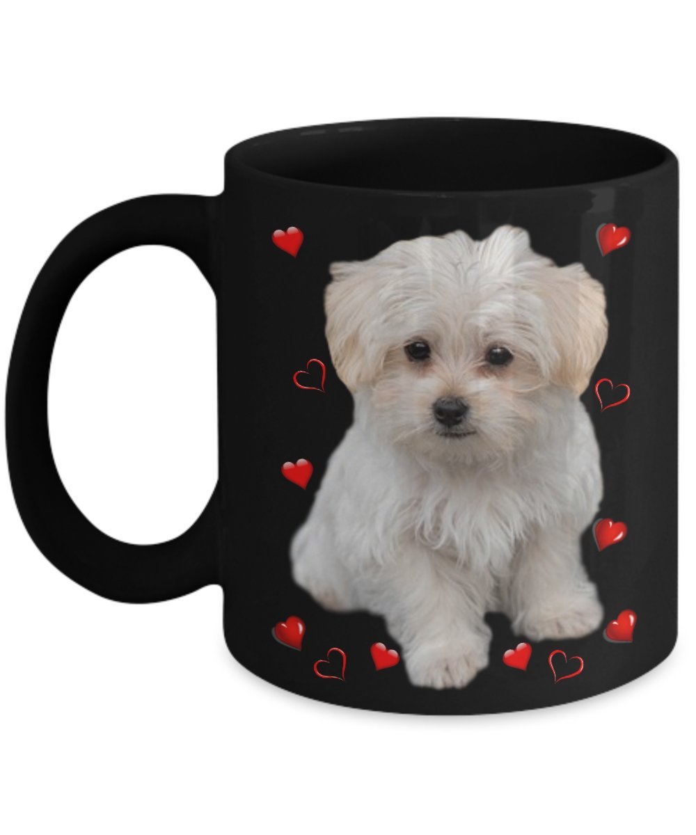 dog beds at the range