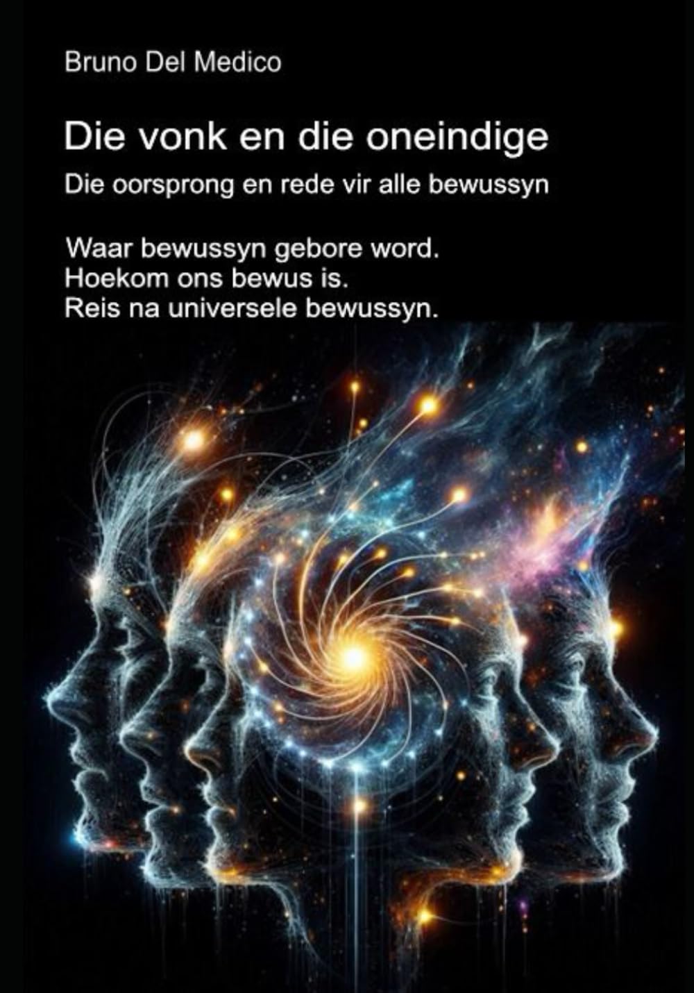 Die vonk en die oneindige. Die oorsprong en rede vir alle bewussyn: Waar bewussyn gebore word. Hoekom ons bewus is. Reis na universele bewussyn. ... Die Misterie van Bewussyn. Publikasies i)