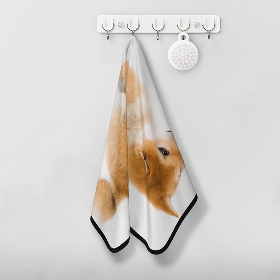 専用❤みかん❤コットン×マイクロ⭐超大判ハンドタオル❤柴犬 専用❤みかん❤コットン×マイクロ⭐超大判ハンドタオル❤柴犬