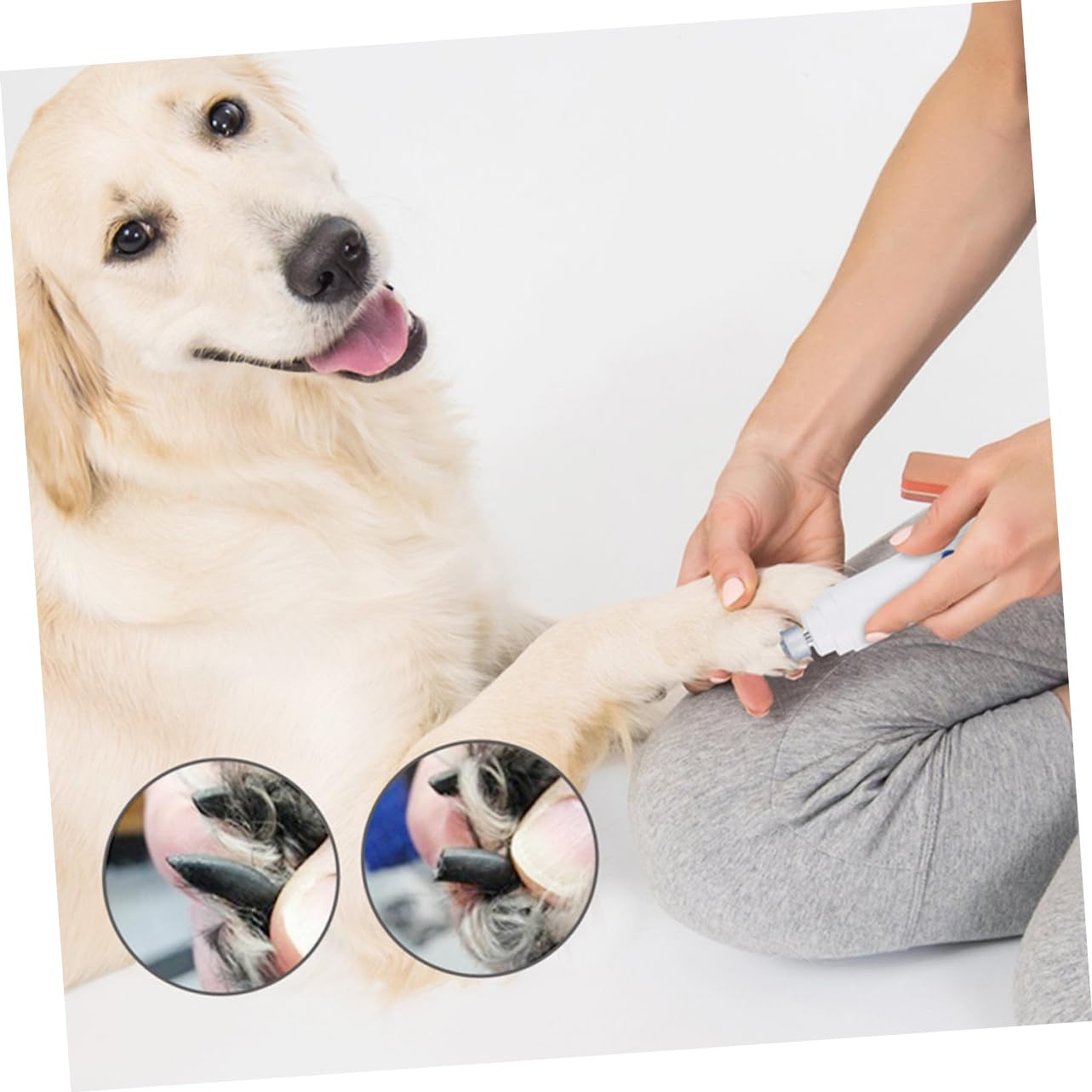 Toddmomy 3 Pièces broyeur de Chien électrique Tondeuse à Griffes pour Animaux de Compagnie Griffe pour Animaux de Compagnie ongle de Chien Coupe-Ongles électrique pour Animaux de Compagnie