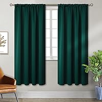 Vista 173 de Cortina opaca BGment con hueco por el que pasa la barra, 2 paneles