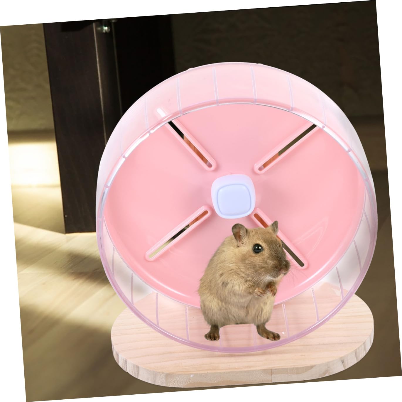 Rueda Silenciosa para Hámster con Base Estable Accesorio de Ejercicio para Roedores Pequeños como Erizos y Chinchillas Diseño Ergonómico y Compacto para Jaulas de Mascotas