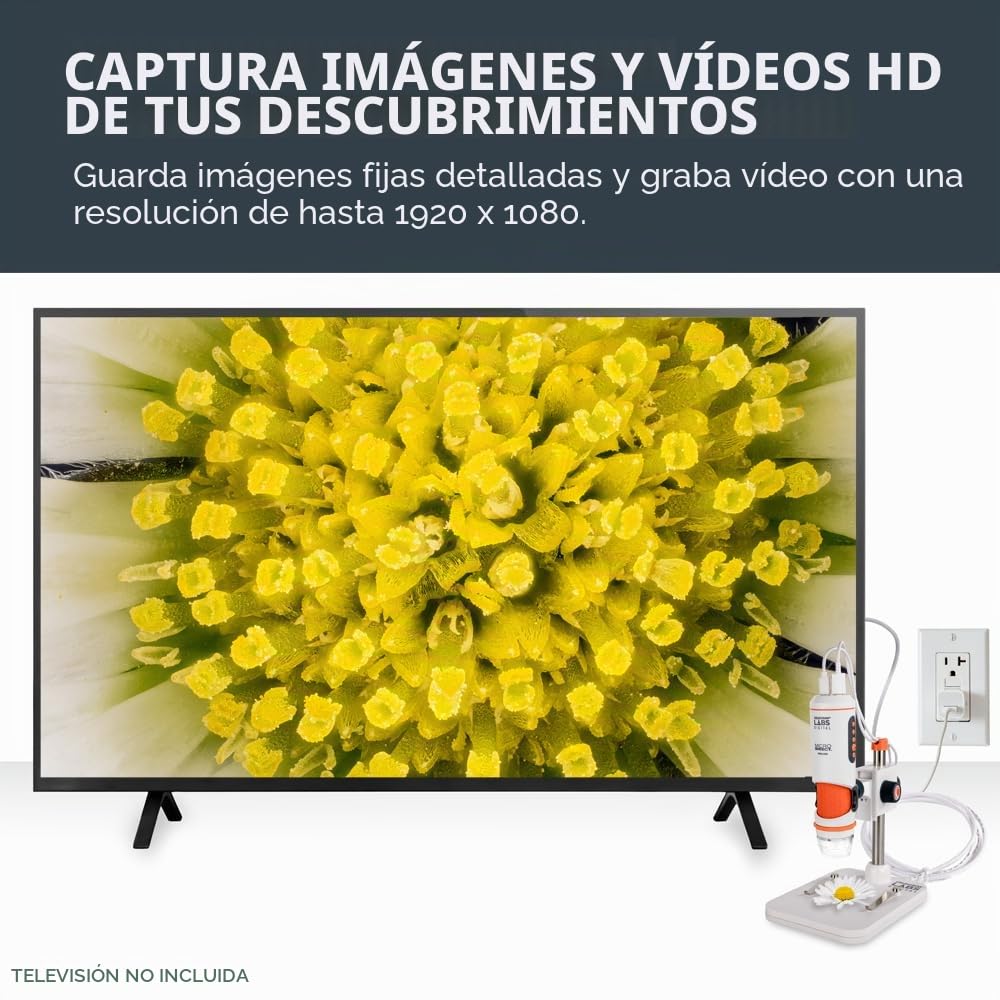 Celestron 44316 1080P HDMI: microscopio manual portátil, 10x-220x aumentos, gris/blanco