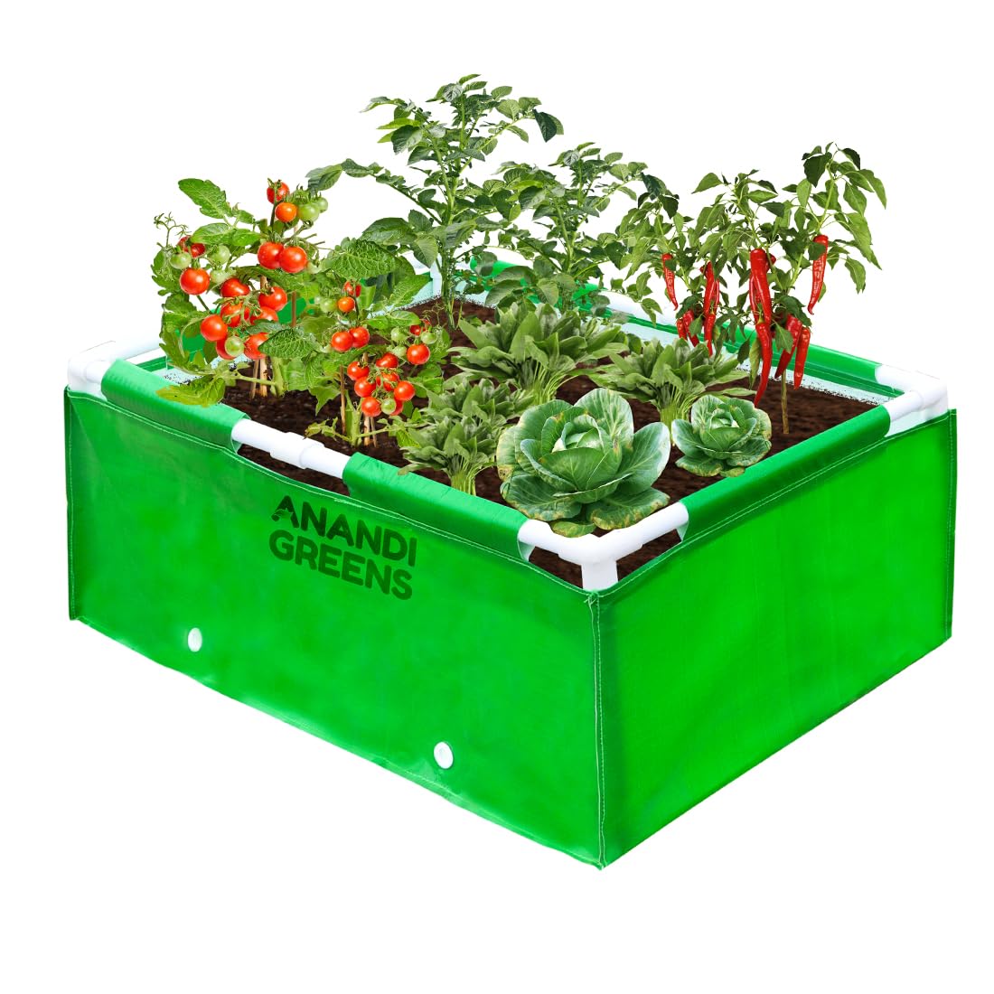 ANANDI GREEN'S HDPE UV Protected 360 GSM Green Color Rectangular Plants