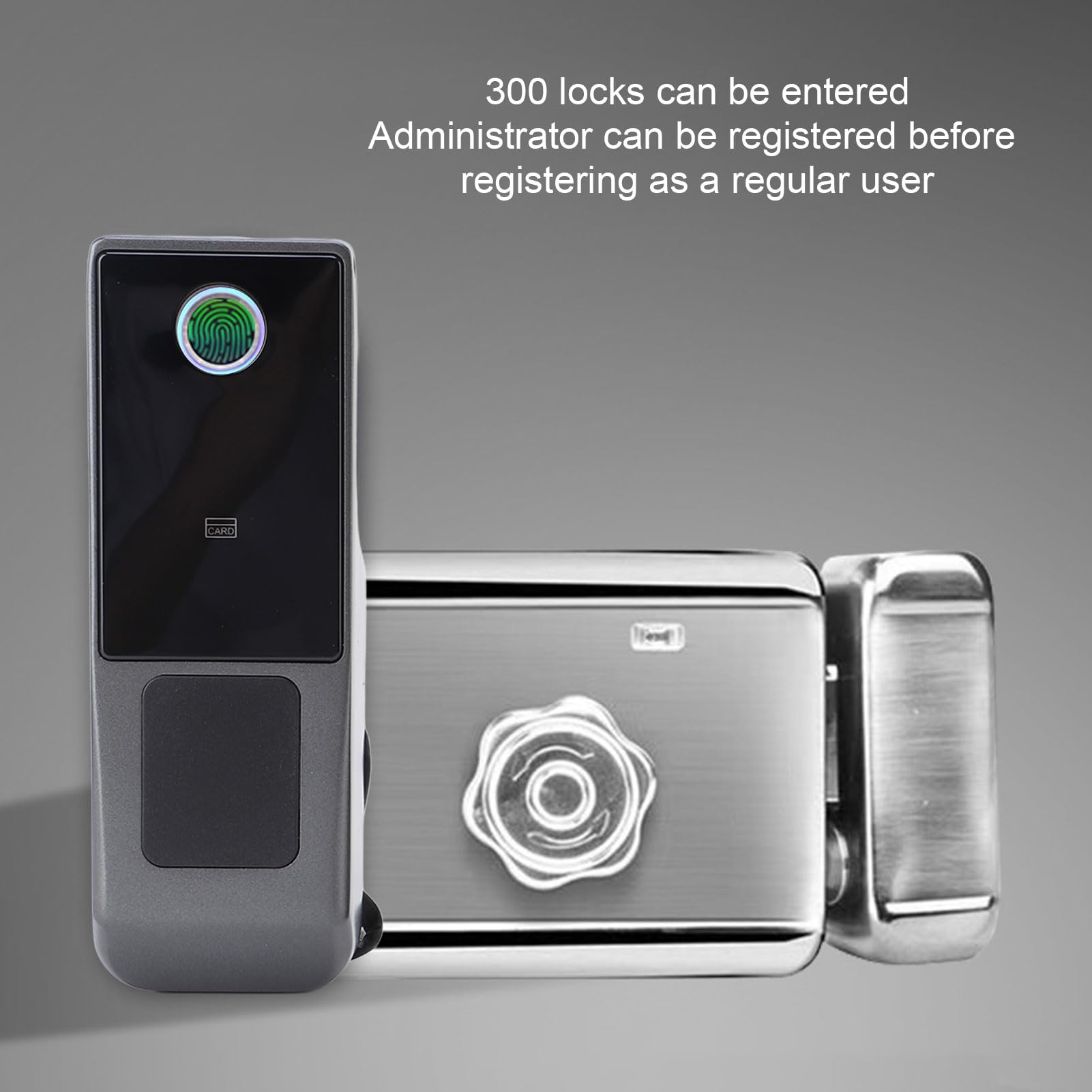 Smart Lock Sicurezza professionale Impermeabile Impronta digitale Semiconduttore Tecnologia biometrica Serratura con catenaccio per la casa 'appartamento