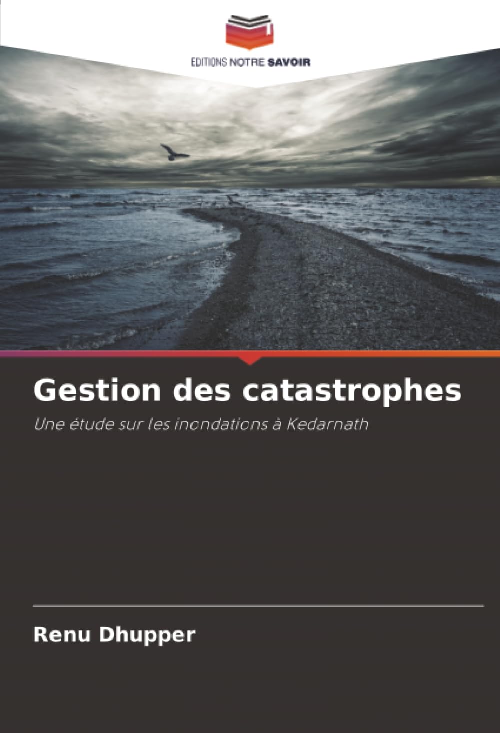 Gestion des catastrophes: Une étude sur les inondations à Kedarnath