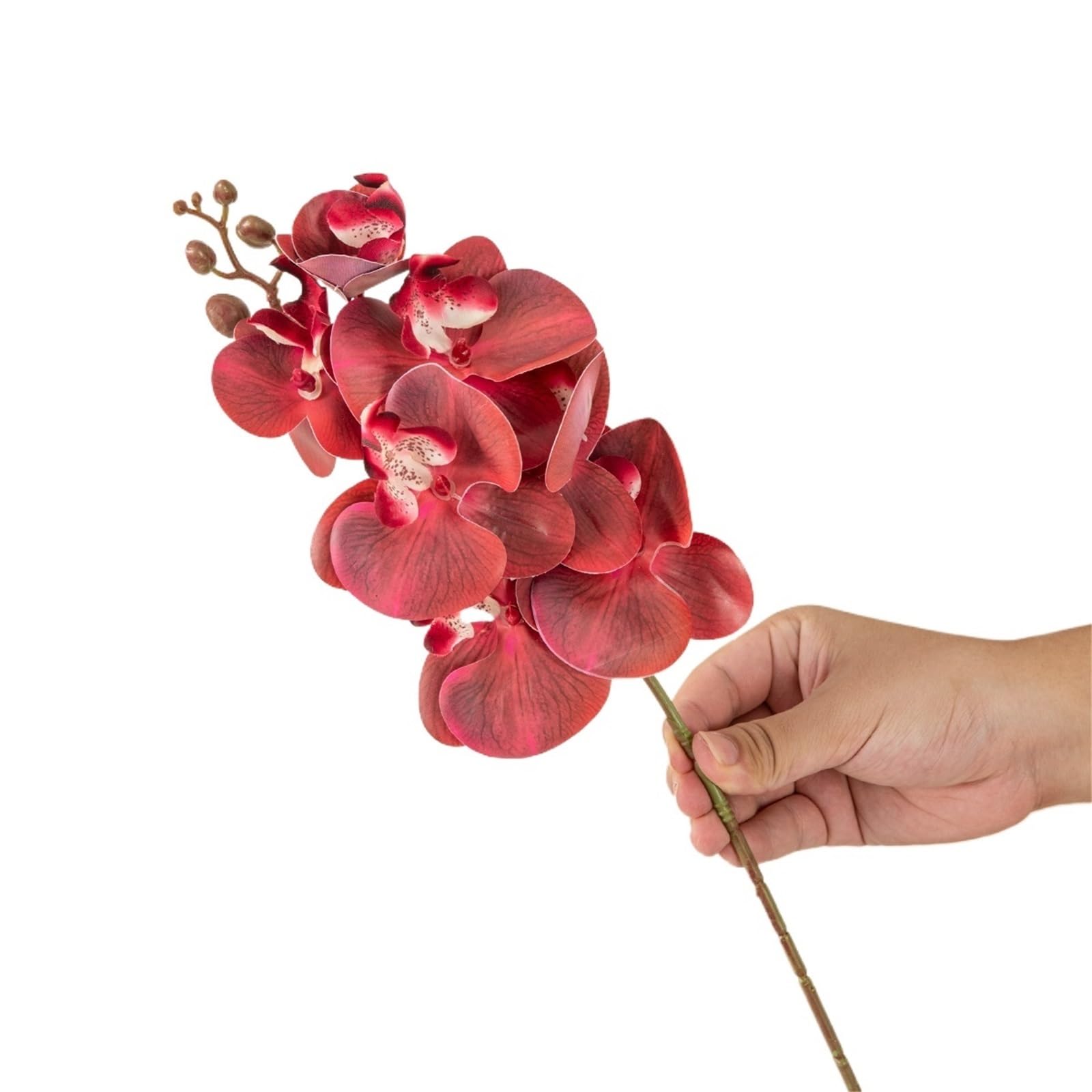 DSFVERVD Artificial Butterfly Orchid Artificial Flowers Silk Moth Orchid