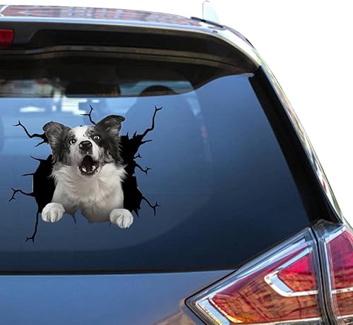 Pegatinas de perro Border Collie Border Collie para ventana de coche, calcomanía de camión de advertencia para caras divertidas Vinal Truck