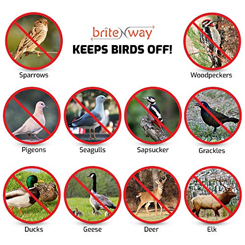 image for BRITENWAY Premium Quality Bird Deterrent Reflective Scare Tape Ribbon 