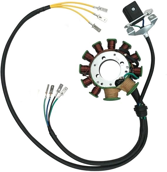 11Coil Stator 200cc 250cc for Upright motor Dirt Bike ATV