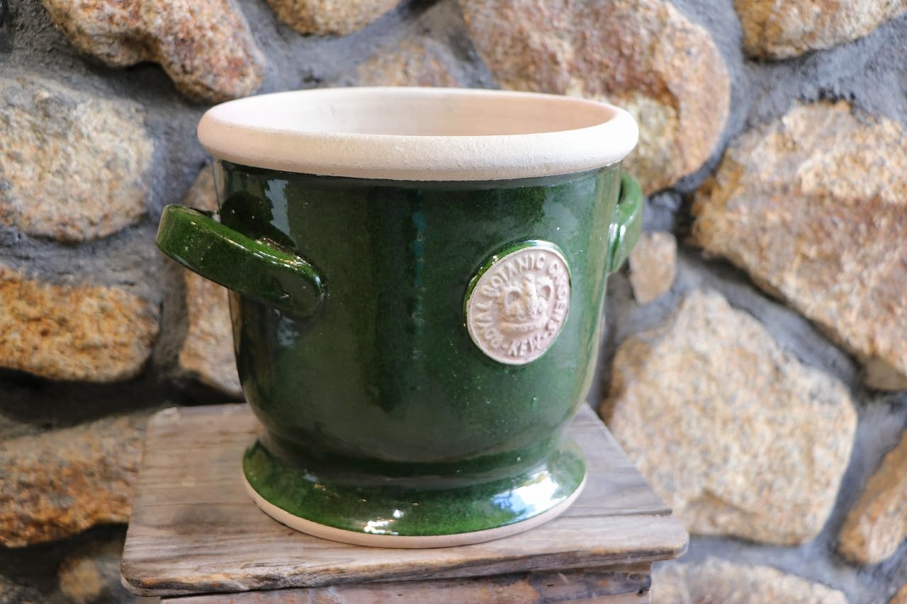 Amazon.co.jp: キューガーデン Kew Garden 陶器鉢 パルナス キュー