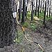 PMZ Archery Recurve Bow Set, High-Performance Horse Bow Long Bow for Hunting, Right Left Hand Traditional Bow for Beginner Adults Teenagers, 40lbs