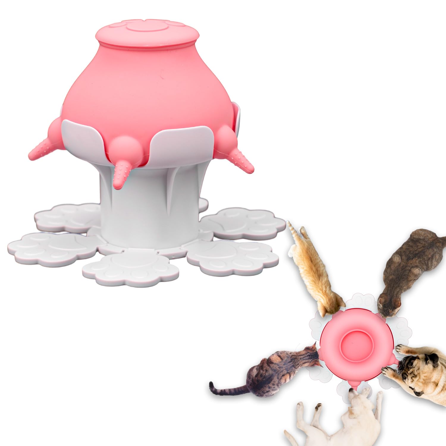 Mangiatoia Per Cuccioli E Gattini - 300ml, 5 Capezzoli In Silicone, Altezza Regolabile - Foto 4