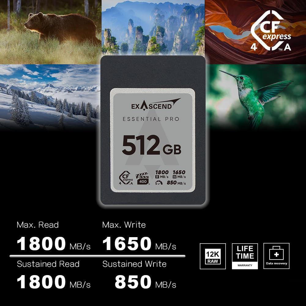Amazon.com: Exascend Essential Pro CFexpress 4.0 Type A Card 
