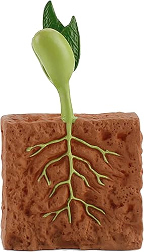 Miniatura 7 de 4 unids ciclo de vida plantas verdes juguete educativo PVC ciclo de crecimiento planta falsa juguete para niños herramienta de enseñanza