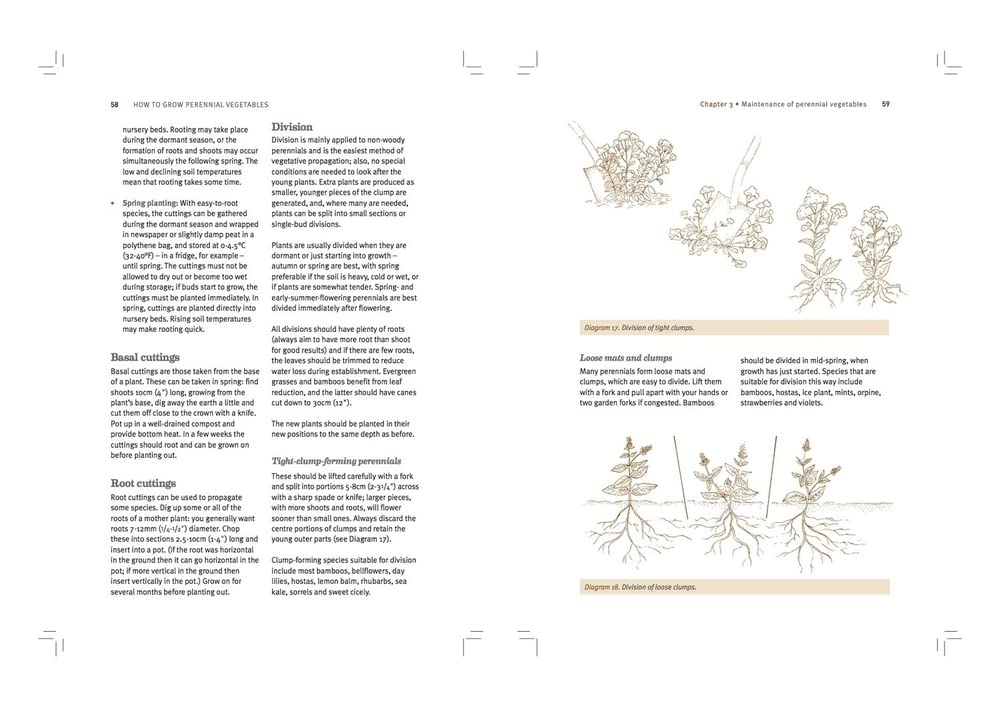 How to Grow Perennial Vegetables: Low-maintenance, low-impact vegetable gardening