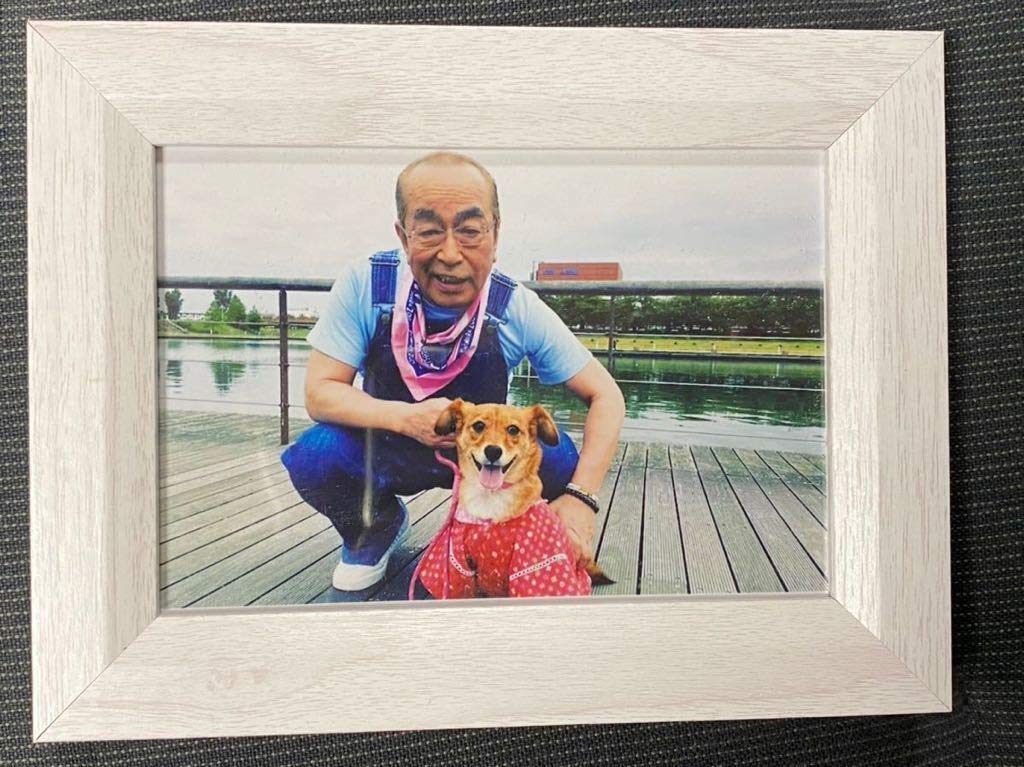 貴重　志村けん　生写真 Amazon.co.jp: 志村けん 志村動物園 生写真 フォトスタンド : ホーム