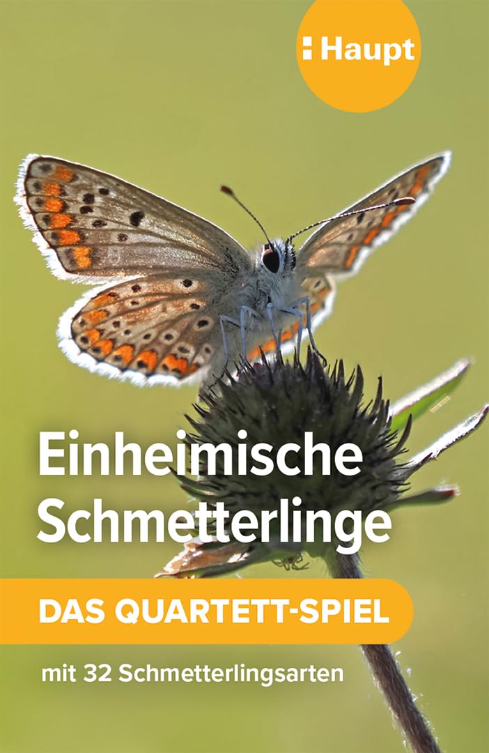 Haupt Verlag Ag Einheimische Schmetterlinge – Das Quartett-Spiel: Mit 32 Schmetterlingsarten