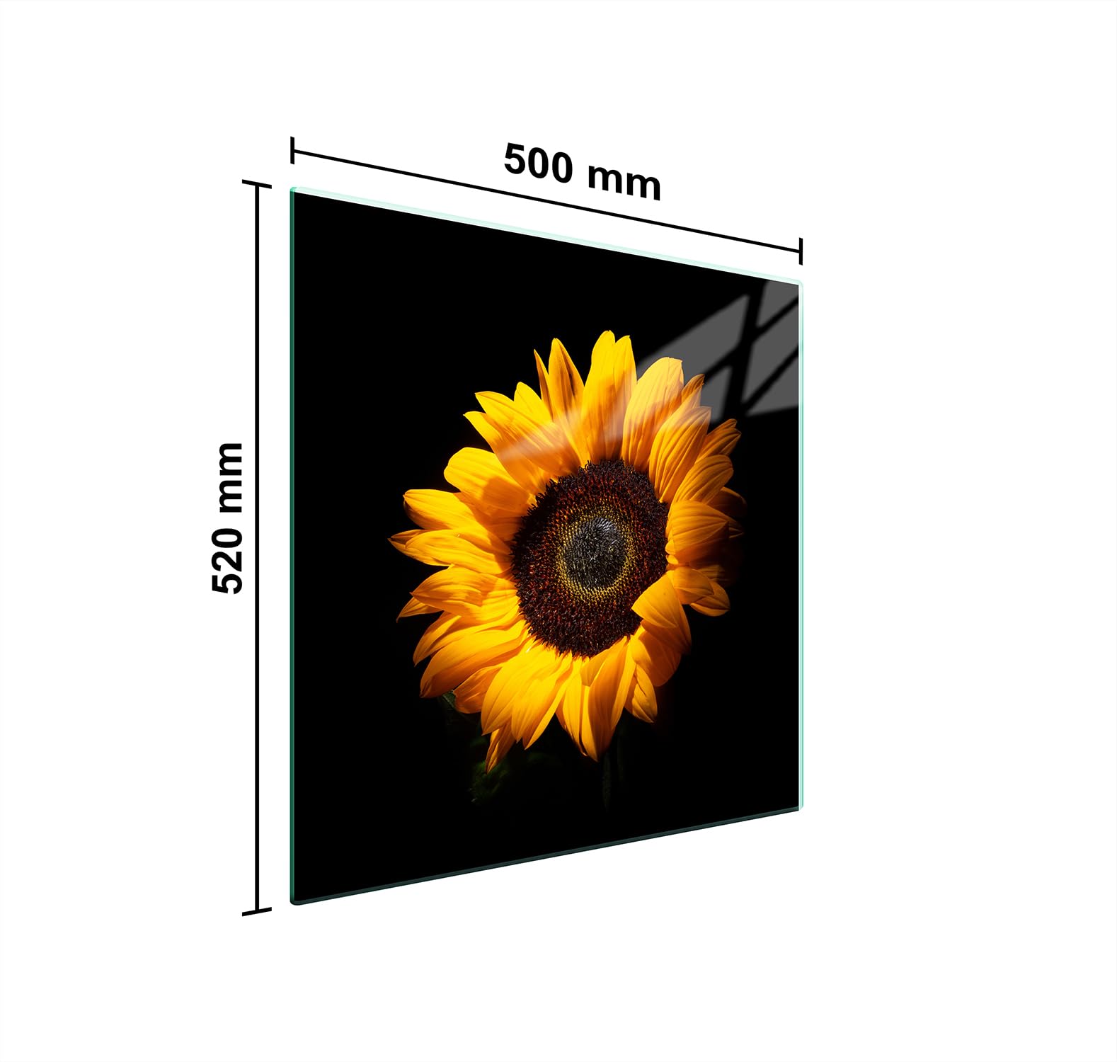 TMK Plaque de protection en verre pour cuisinière électrique à... Pas