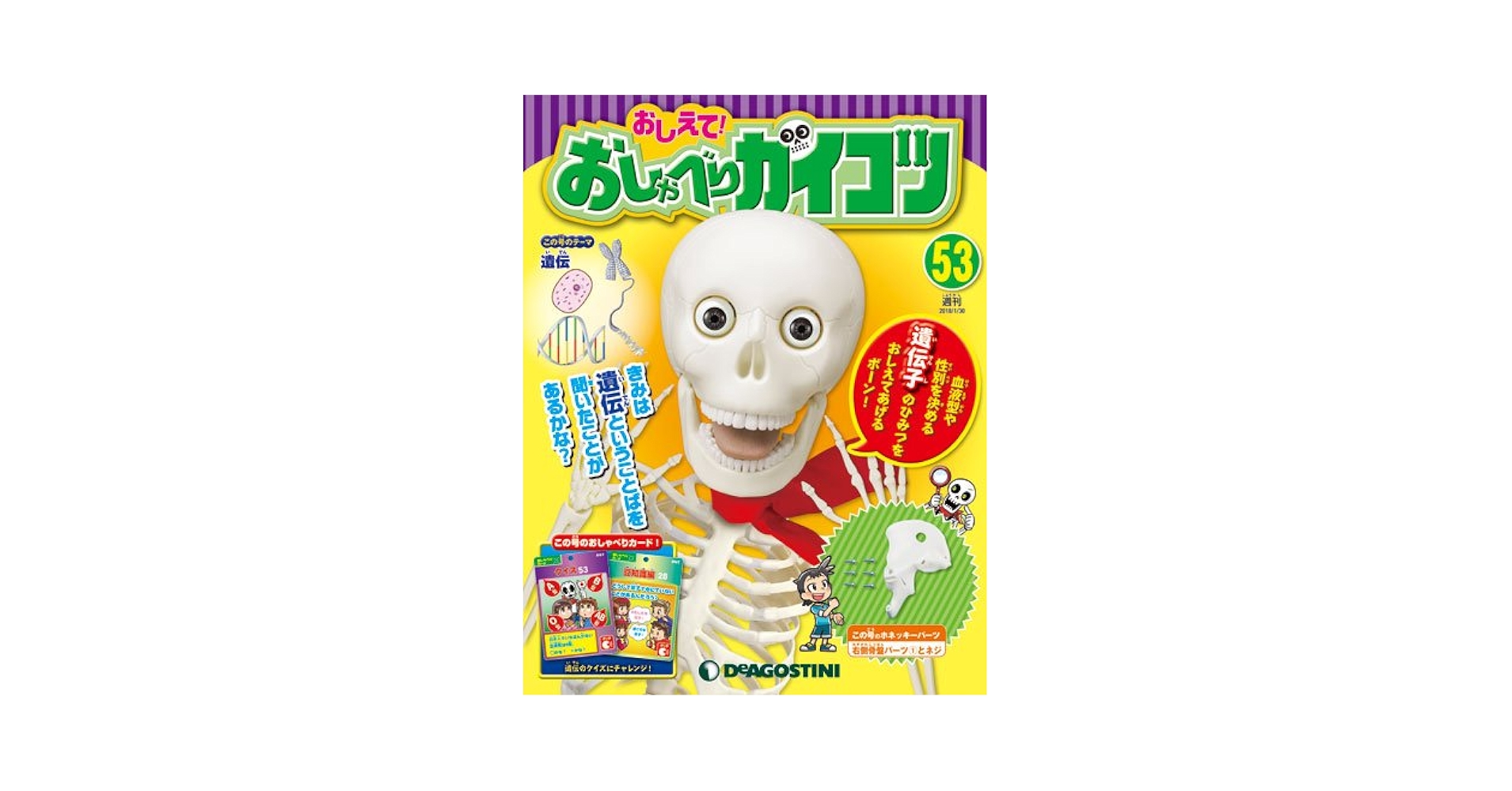 YYです。おしえて! おしゃべりガイコツ Amazon.co.jp: おしえて! おしゃべりガイコツ 53号 [分冊百科