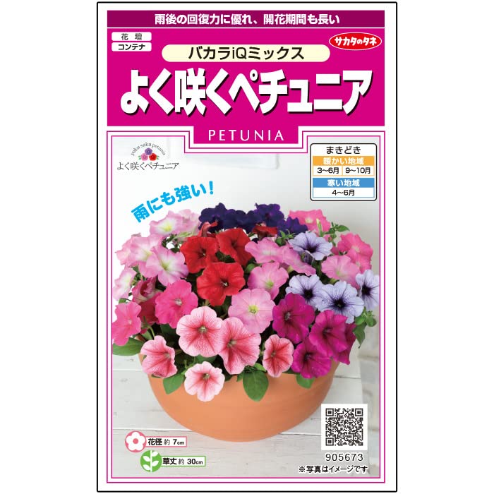 サカタのタネ 実咲花5673 よく咲くペチュニア バカラiQミックス