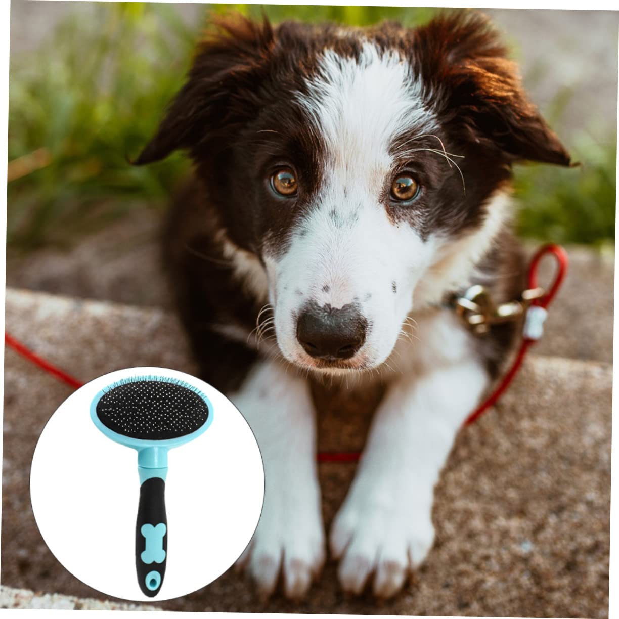 Didiseaon 3pezzi Spazzola Per Animali Domestici Con Manico Ergonomico Strumento Di Grooming e Massaggio Per Cani e Gatti Rimuove Pelo e Dander Accessorio Per Animali