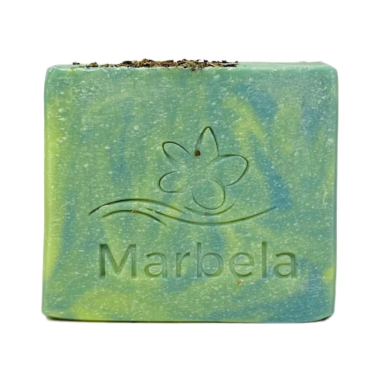 Bath & Body Works Aromatherapy Zen Garden 2 Pack Body Lotion Bundle with a Fresh Forest Bar Soap - Full Size